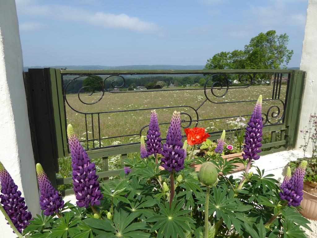 Dean Valley Panorama Bed & Breakfast Лидней Экстерьер фото