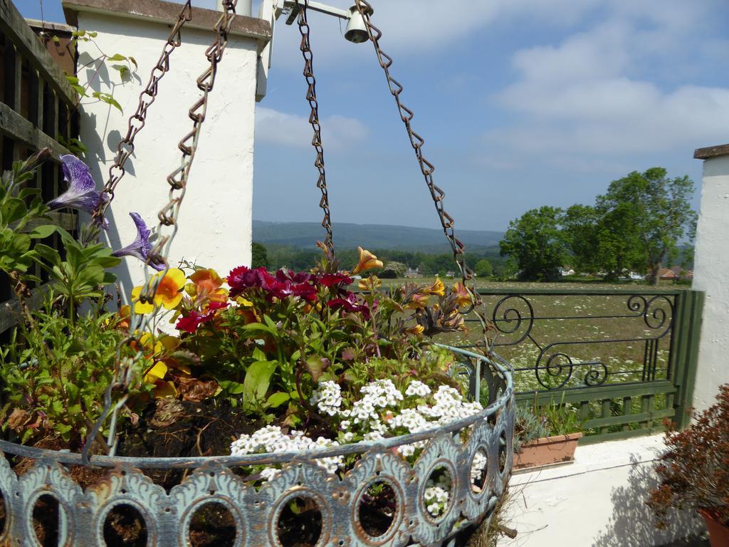 Dean Valley Panorama Bed & Breakfast Лидней Экстерьер фото
